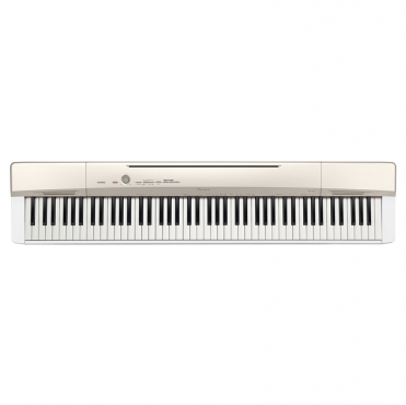 Цифровое фортепиано Casio Privia PX-160GD